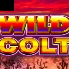 Wild Colt