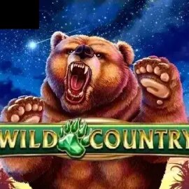 Wild Country