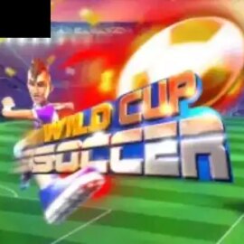 Wild Cup Soccer