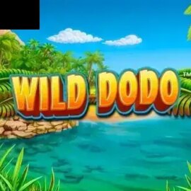Wild Dodo