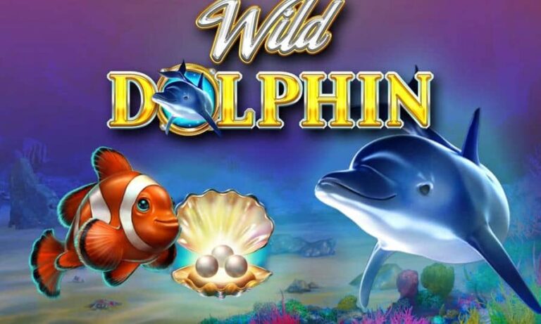 Wild Dolphin