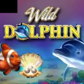 Wild Dolphin