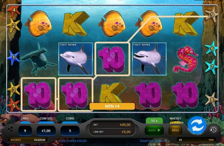Wild Dolphins