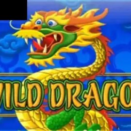 Wild Dragon (Amatic)