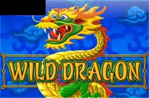 Wild Dragon (Amatic)