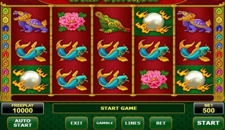 Wild Dragon (Amatic)