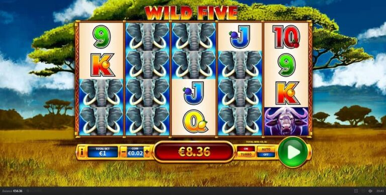 Wild Five
