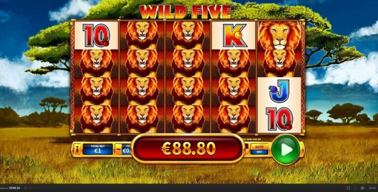 Wild Five