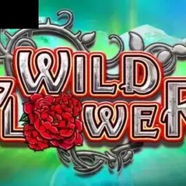 Wild Flower