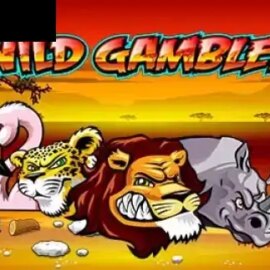 Wild Gambler
