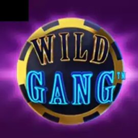 Wild Gang