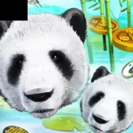 Wild Giant Panda