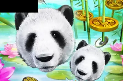 Wild Giant Panda