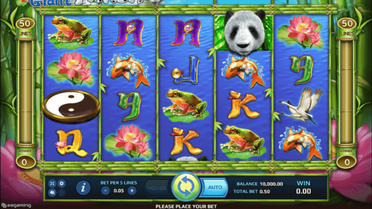 Wild Giant Panda