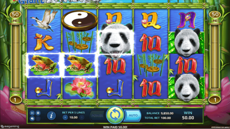 Wild Giant Panda