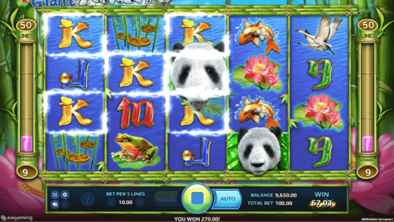 Wild Giant Panda