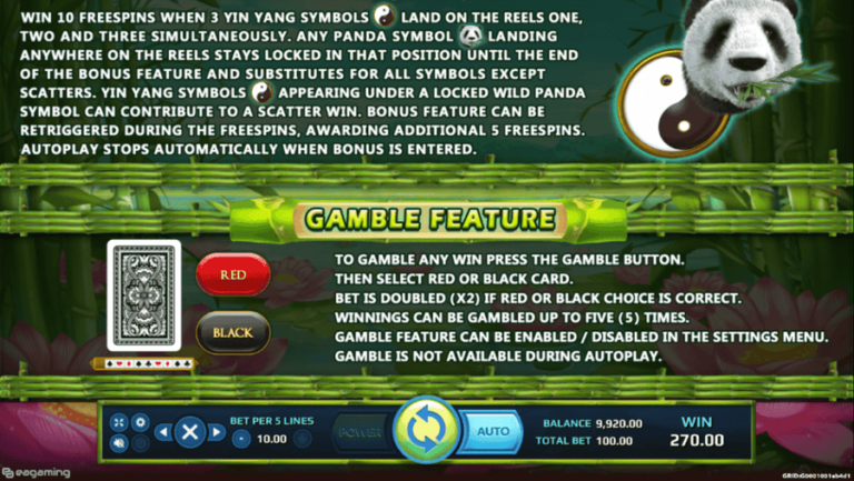 Wild Giant Panda