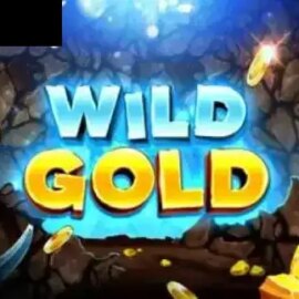 Wild Gold (Slot Factory)