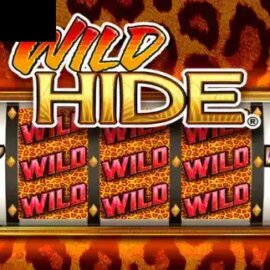 Wild Hide