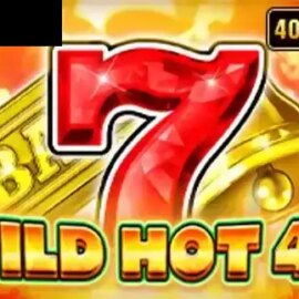 Wild Hot 40