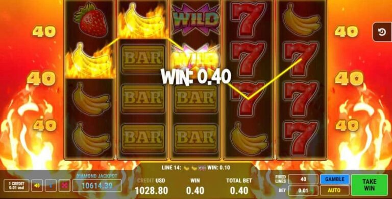 Wild Hot 40