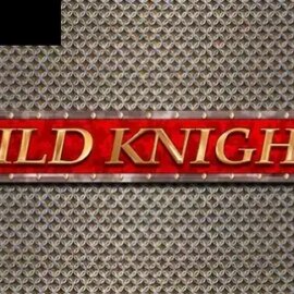 Wild Knights