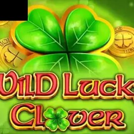 Wild Lucky Clover