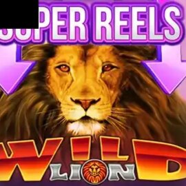 Wild Lion Super Reels