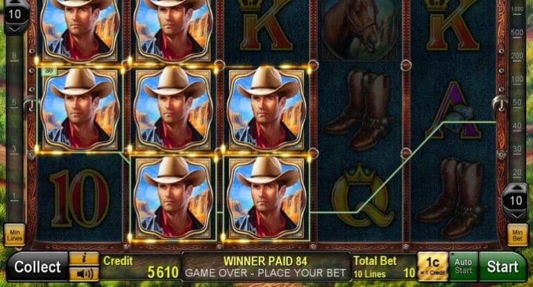 Wild Maverick