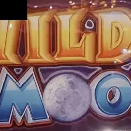 Wild Moon