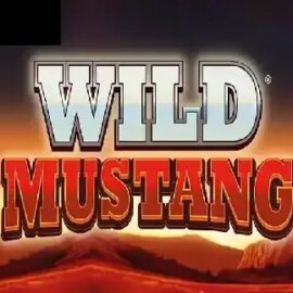 Wild Mustang