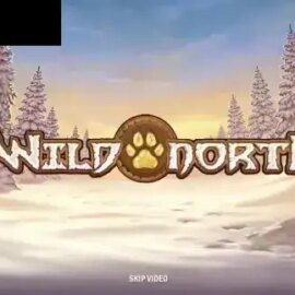 Wild North (Play’n Go)