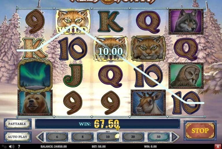 Wild North (Play’n Go)