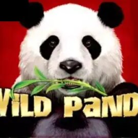 Wild Panda (Aristocrat)