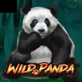 Wild Panda (Royal Slot Gaming)