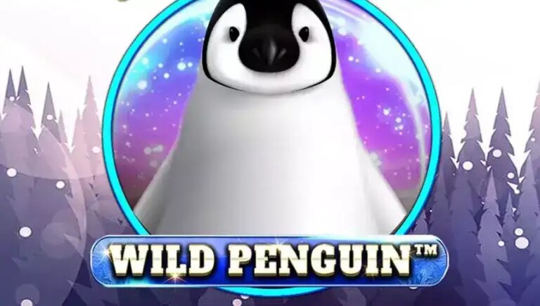 Wild Penguin