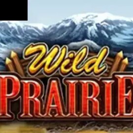 Wild Prairie
