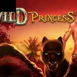 Wild Princess (Xplosive Slots Group)