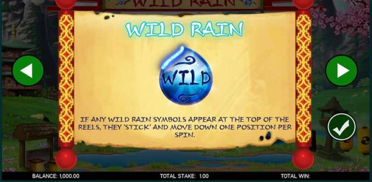 Wild Rain