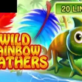 Wild Rainbow Features