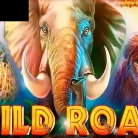 Wild Roar