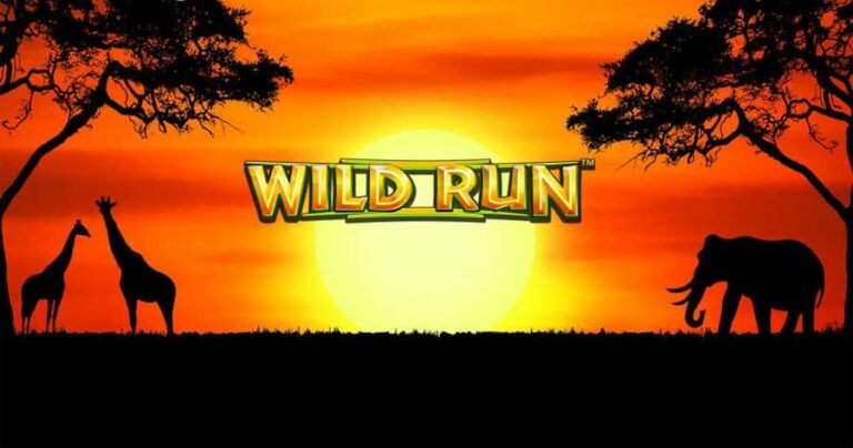 Wild Run
