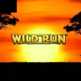 Wild Run