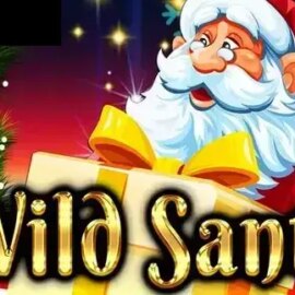 Wild Santa