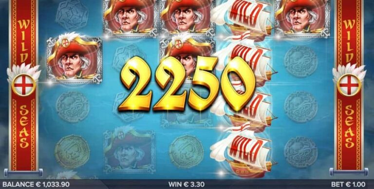 Wild Seas
