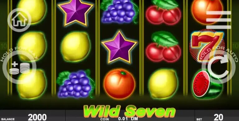 Wild Seven