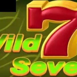 Wild Seven