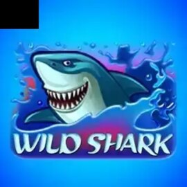 Wild Shark