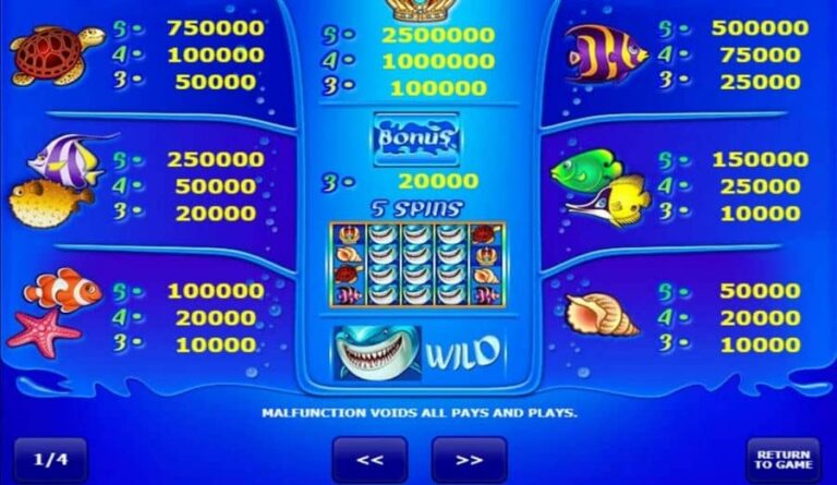 Wild Shark