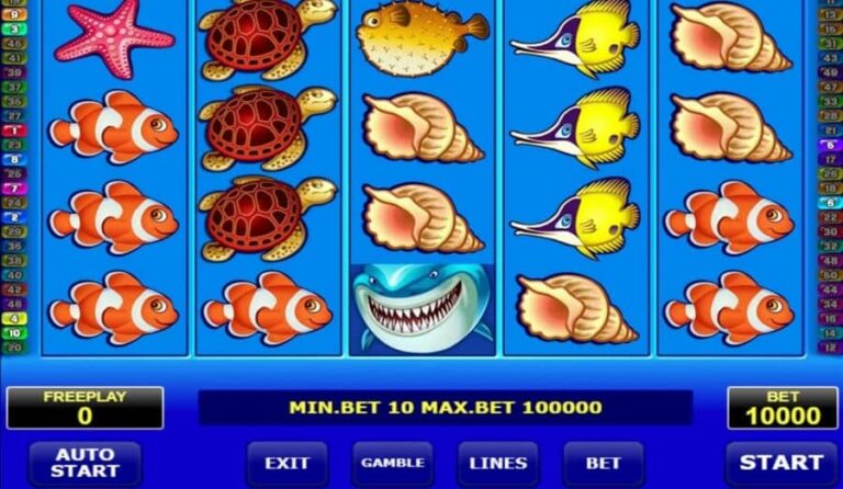 Wild Shark